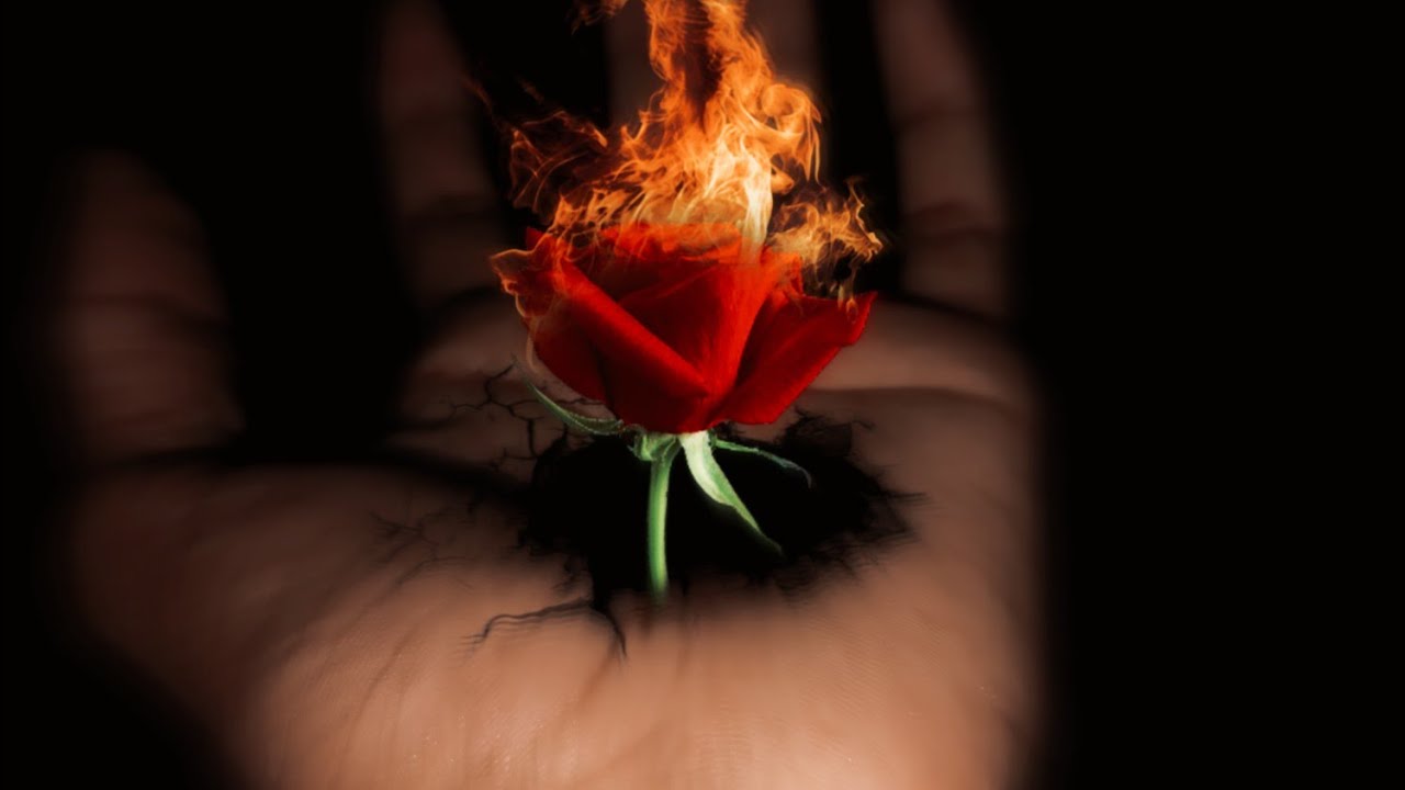 creative Rose 🌹 Fire photo editing in picsart || photo manipulation ideas
