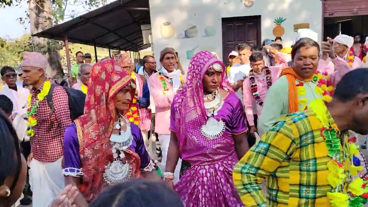 ल हजुर गुलरिया बाराको थारु नाच अब दाङ चखौरामा 