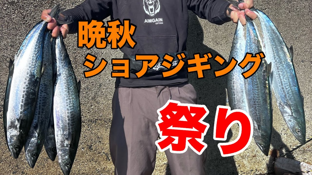 秋の瀬戸内ショアジギングで青物爆釣を！！