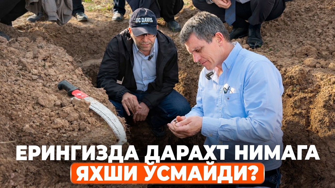 ЕР ТАЙЁРЛАШДА НИМАЛАРГА ЭЪТИБОР БЕРИШ КЕРАК? | ШУҲРАТ АБРОРОВ #shuhratabrorov #tuproq #analiz