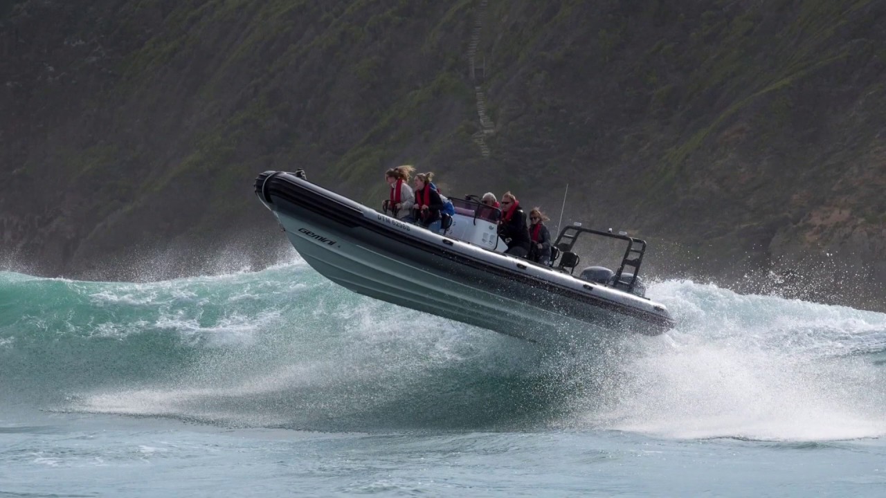 Gemini Marine - 40 years innovation and excellence