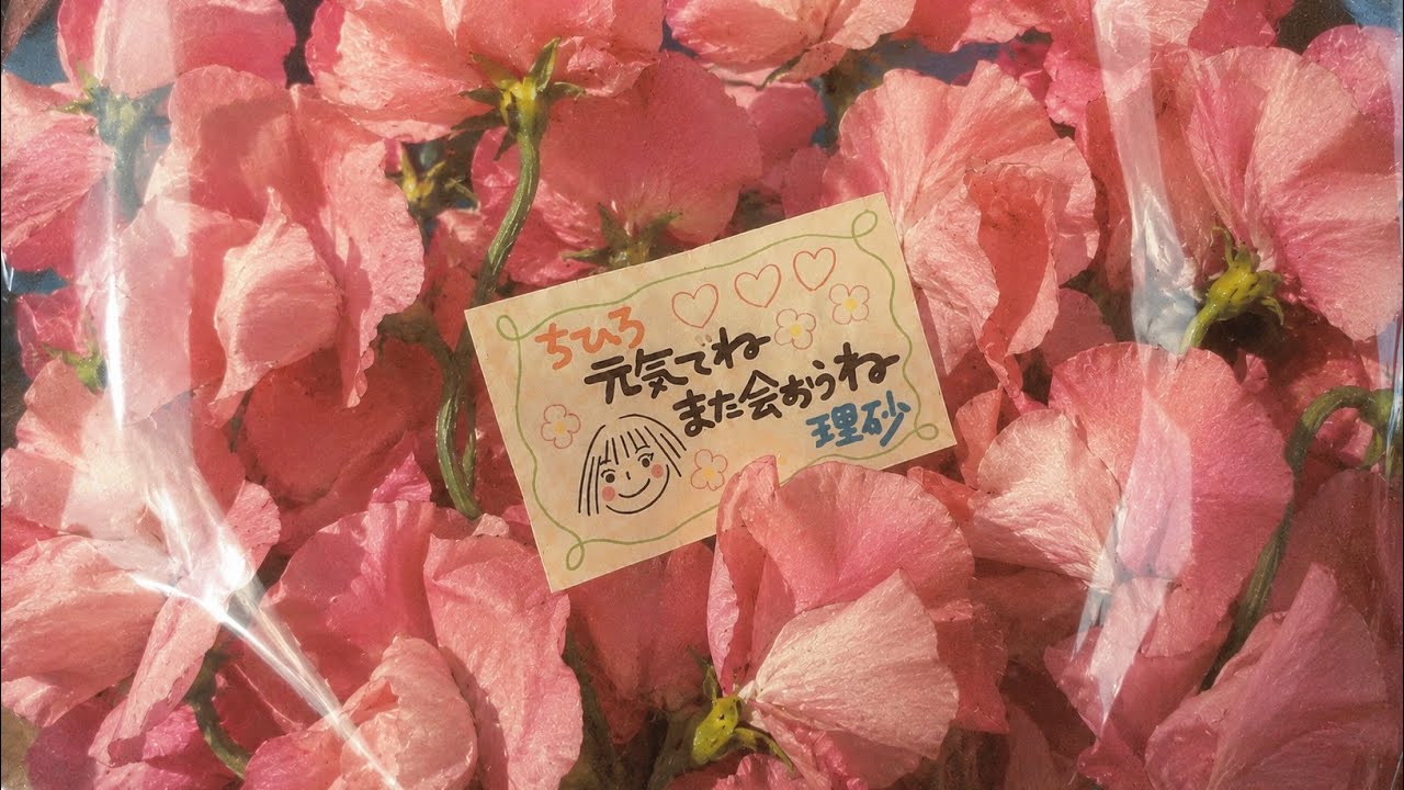 𝚙𝚕𝚊𝚢𝚕𝚒𝚜𝚝⫽ 지워진 이름들이 머무는 세계 ⊹ 센과 치히로의 행방불명 ◦ Spirited Away