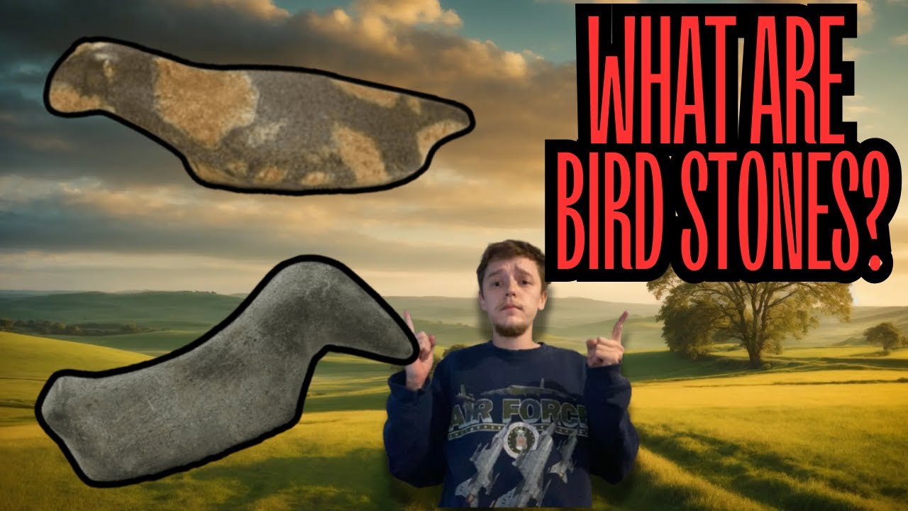 Native American Birdstone (Adena / Hopewell / Mississippian Culture)
