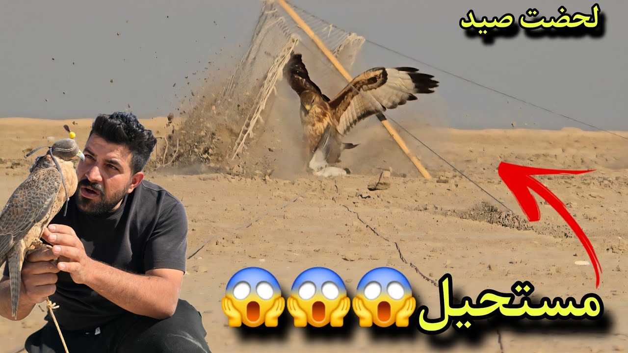 اسهل وأضبط طريقة لصيد الصقور في النوشة #الجزء_السادس