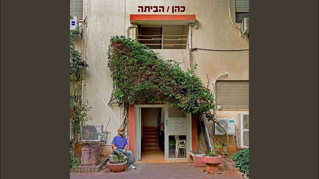 שקרים לבנים