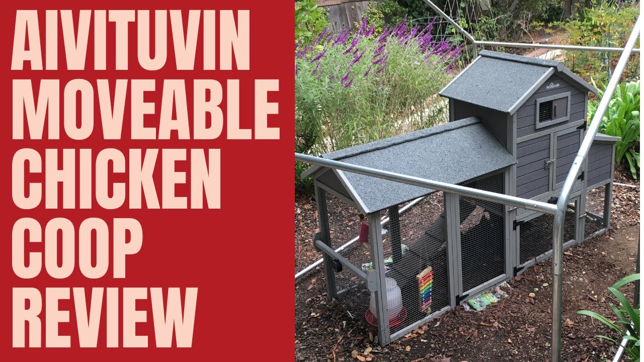 Aivituvin Moveable Chicken Coop Review & Step By Step Assembly