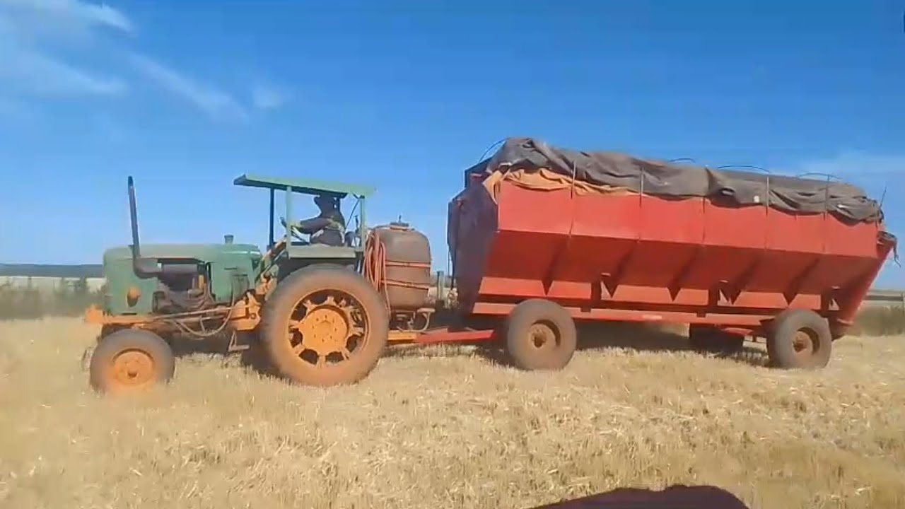 Colheita2