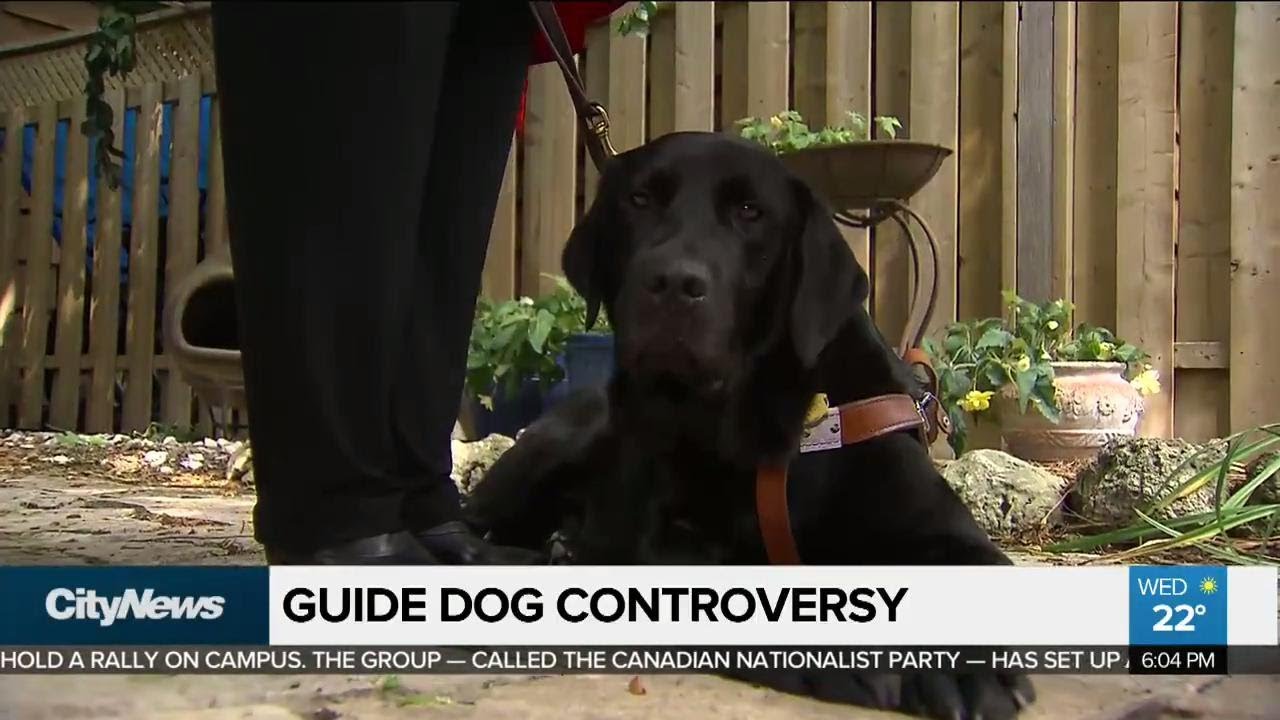 Blind woman fights back after guide dog turned away from BnB