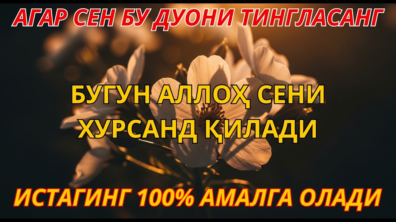УЙИНГИЗГА БАРАКА КИРАДИ Ал-Маъсурат | Доим қўйиладиган энг кучли кунлик зикр