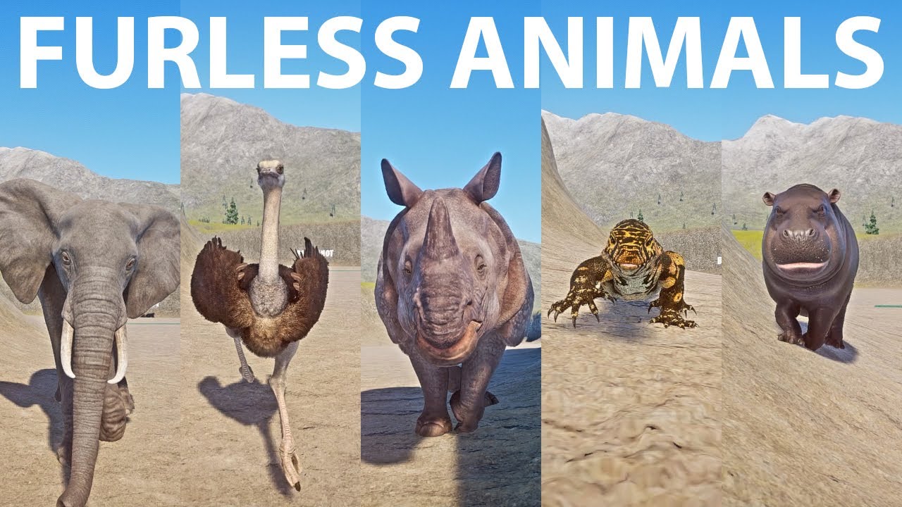 Furless Animals Speed Races in Planet Zoo includes Elephant, Hippo, Ostrich, Nile Monitor