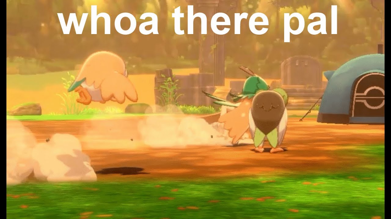pokemon camp but its the rowlet evolution line