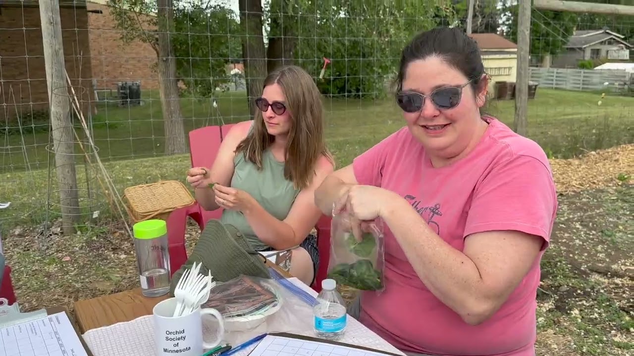 Taste Testing Mustard Greens