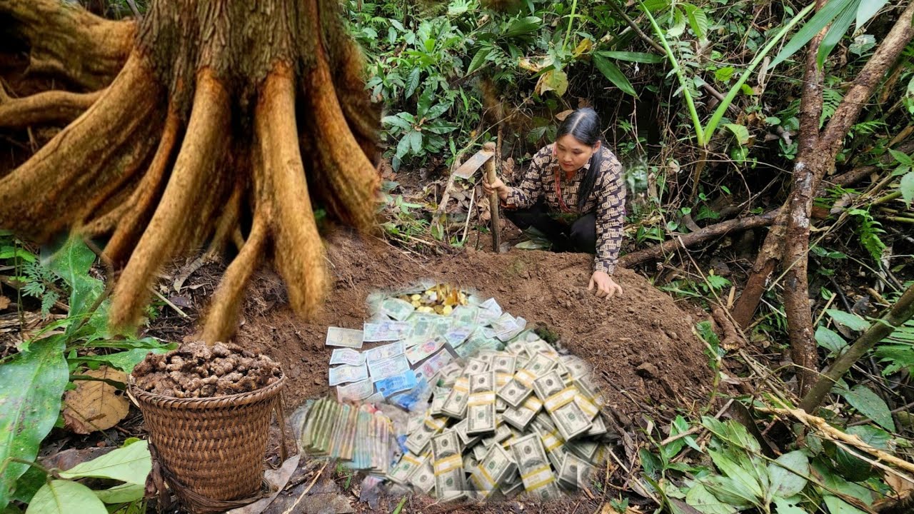 Full video from 135 days: Harvesting and discovering a treasure hoard buried for many years.