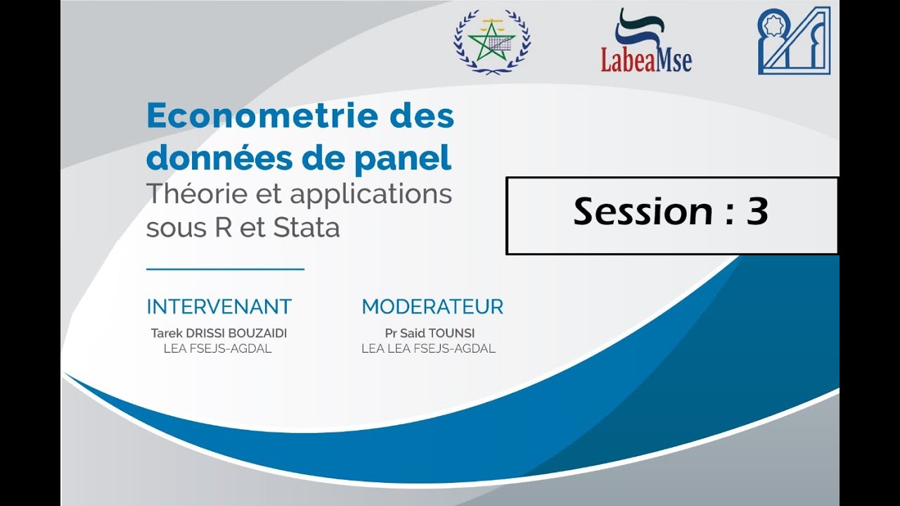 Séance 3 : Économétrie des données de panel : Théorie et application sur R et Stata - LABEA