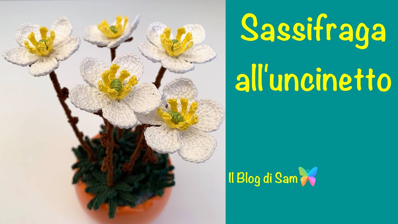 Spiegazione della Sassifraga all'uncinetto