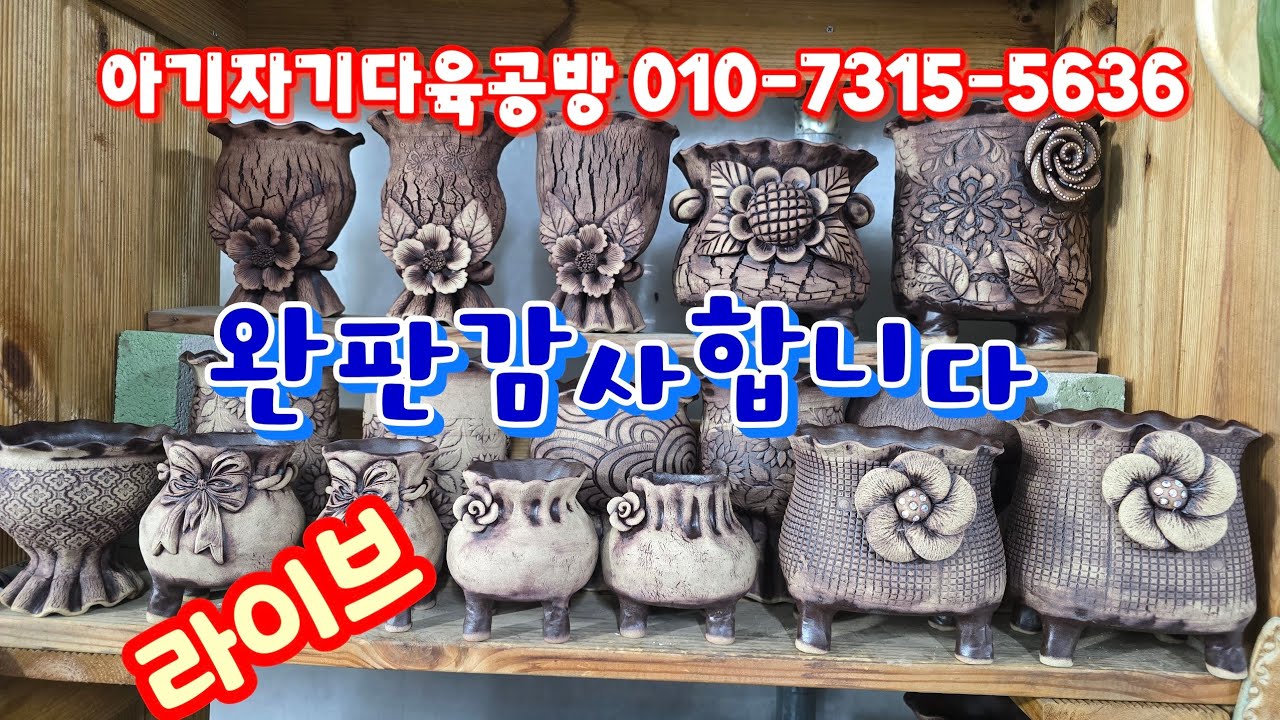 💥[2월 9일 라이브] 아기자기다육공방 010-7315-5636(카드가능) 또 새로운 이중트임분~♡