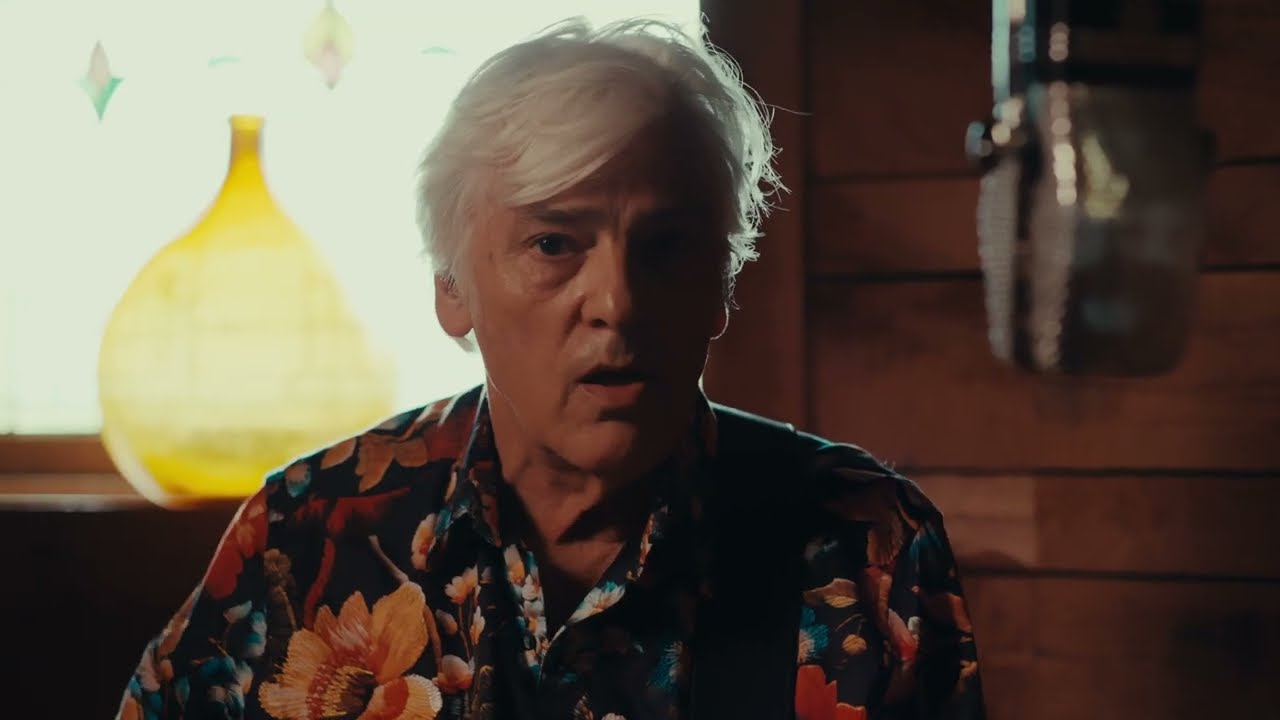 Robyn Hitchcock - 