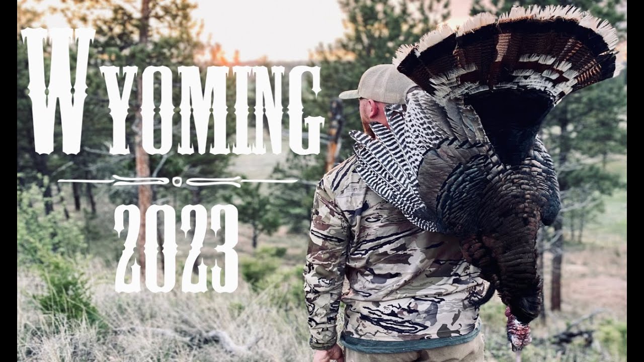Black Hills of Wyoming Merriam's Turkey Hunt.