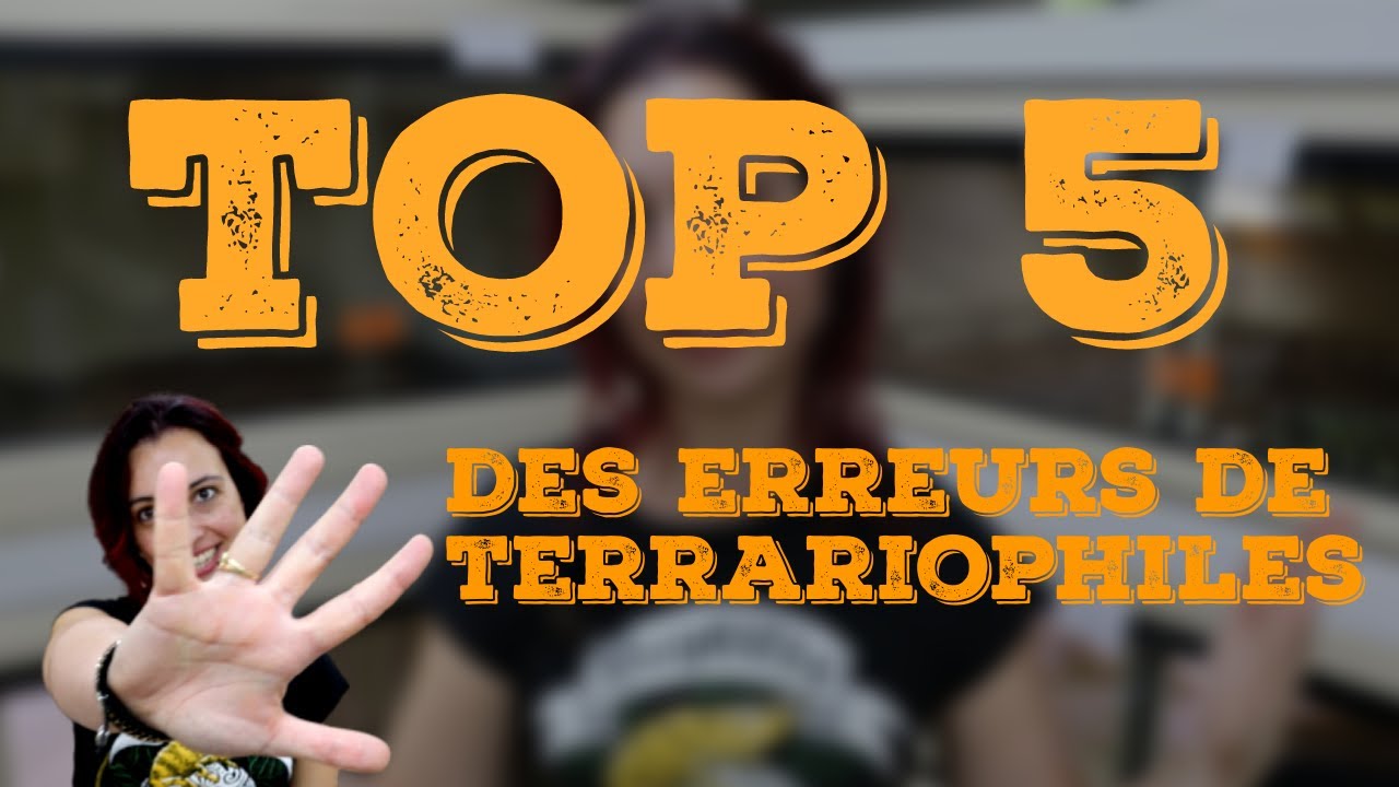 TOP 5 DES ERREURS DE TERRARIOPHILES !