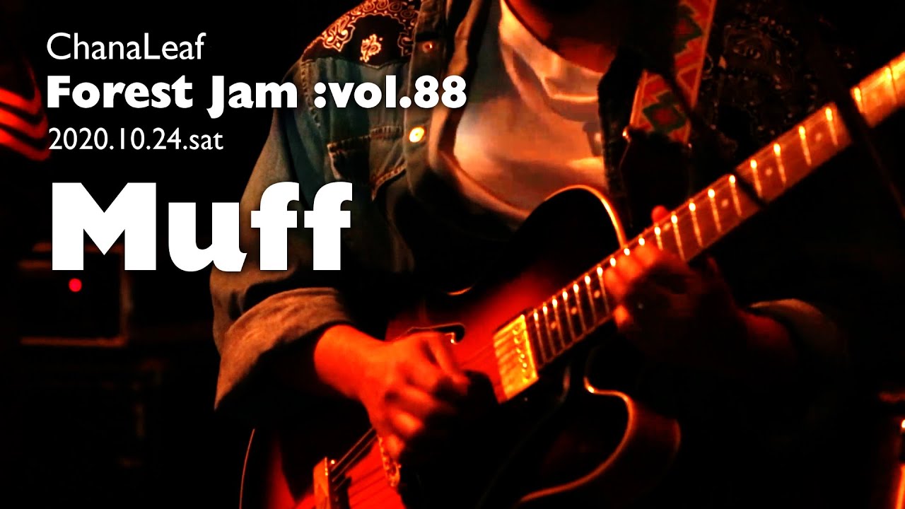 Forest Jam Archive's:  Forest Jam Vol.88 