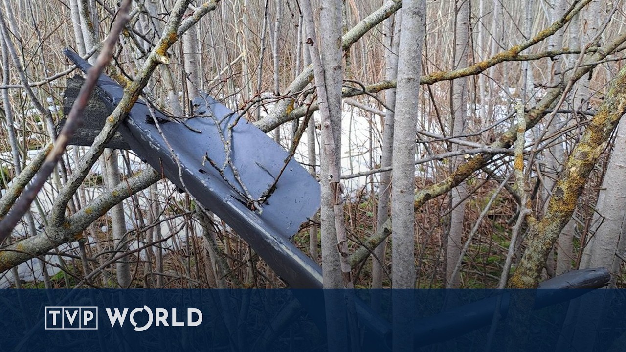 Drones enter Baltic airspace raising regional tensions | TVP World News