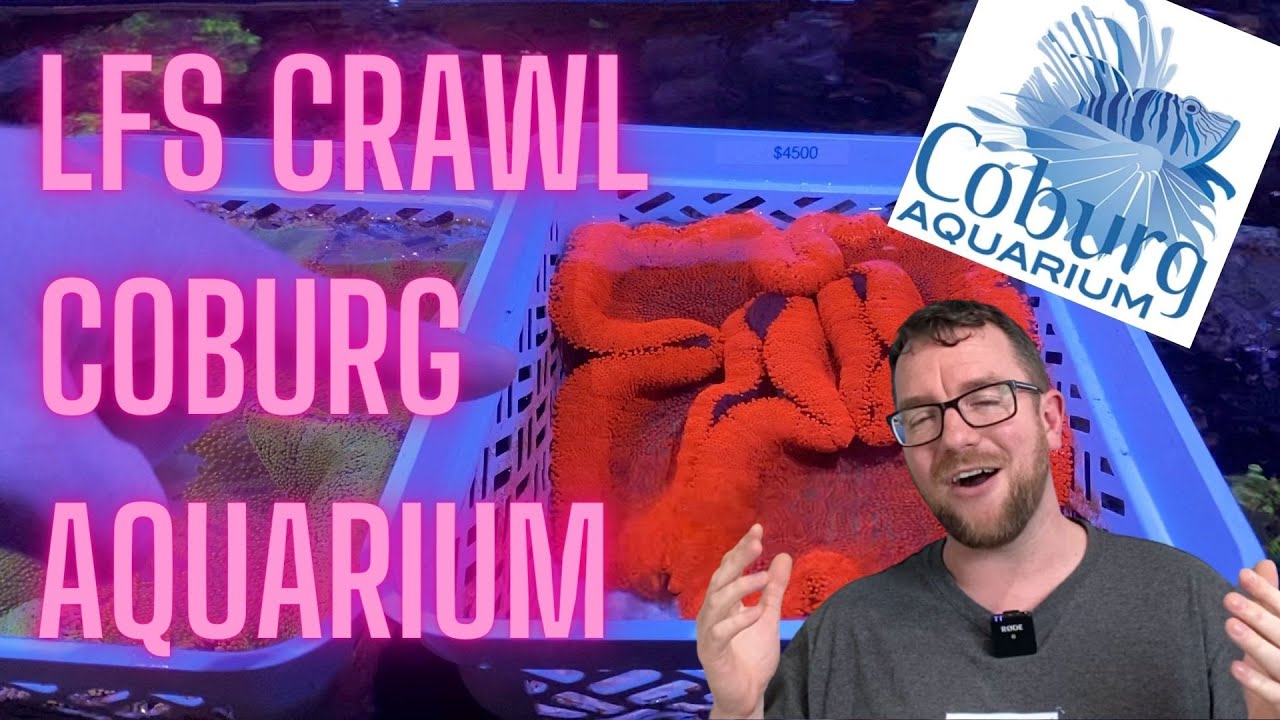 Melbourne LFS Tour - Coburg Aquarium