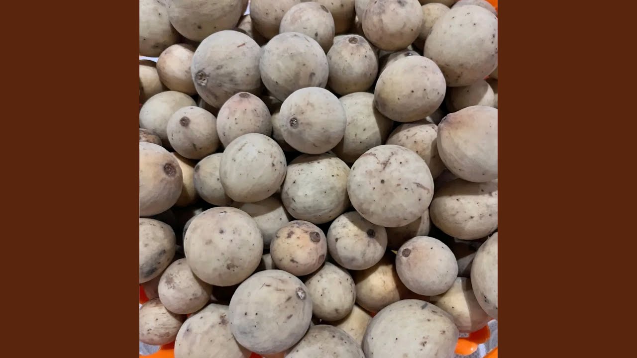 Buah Duku
