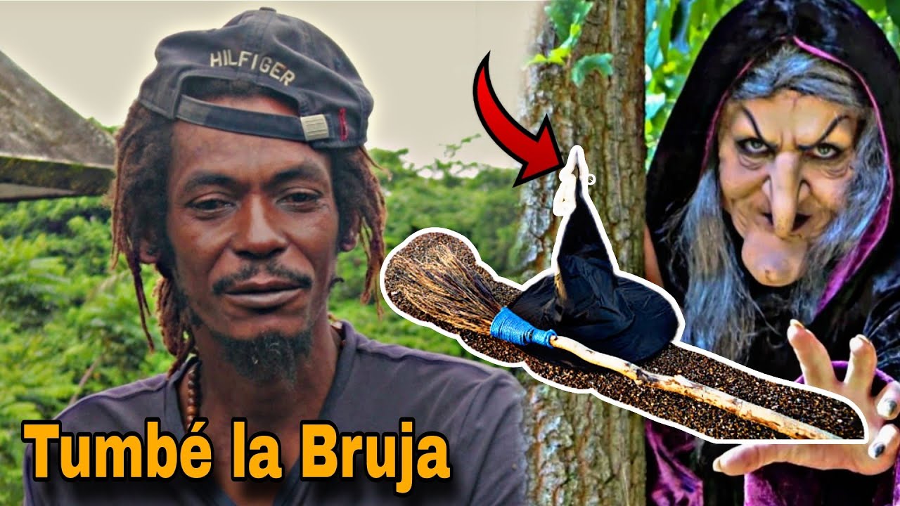 Tumbó Una Bruja Que Visítaba La Casa De Sus Vecinos ( como lo hizo ).