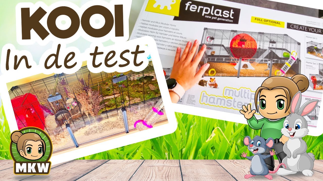 Hamsterscaping 💚 met de nieuwste Ferplast Multipla Hamster Large 🐹 Marika's Knaagdierwereld