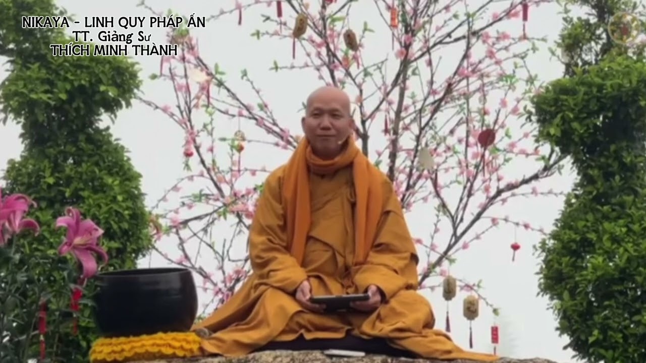Tình Nghĩa Thầy Trò Trong Chánh Pháp #nikaya #linhquyphapan #thichminhthanh #soisangphaphanhnikaya