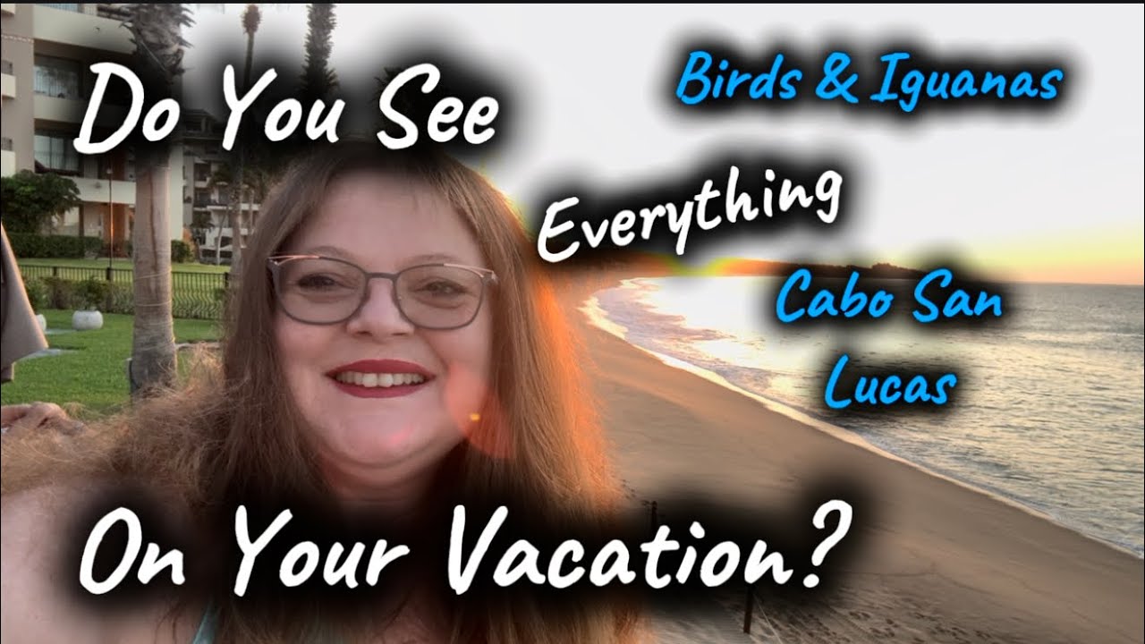 Birds & Iguanas of Cabo San Lucas 