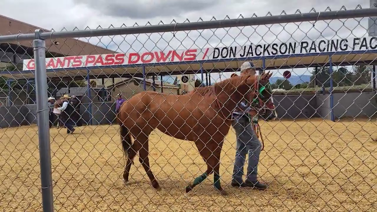 2025年6月22日。Grants Pass Downs競馬場第1レースパドック
