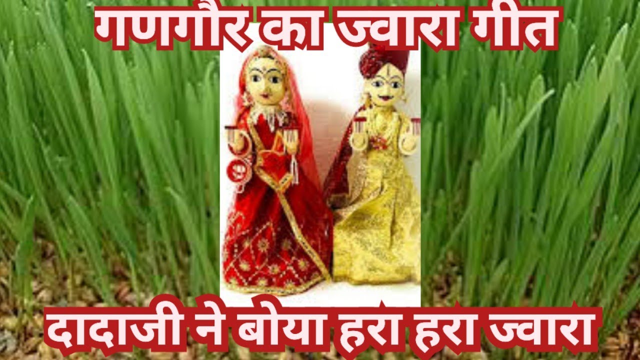 Gangor k jwara Geet दादाजी ने बोया हरा हरा ज्वारा gangour jawara geet गणगोर का जवारा गीत gangor geet