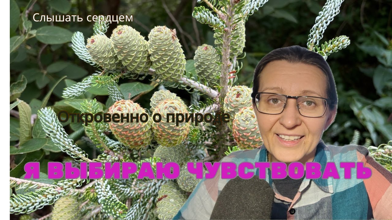 Я СЛЫШУ ПРИРОДУ СЕРДЦЕМ. О вере, травах и живом чувстве