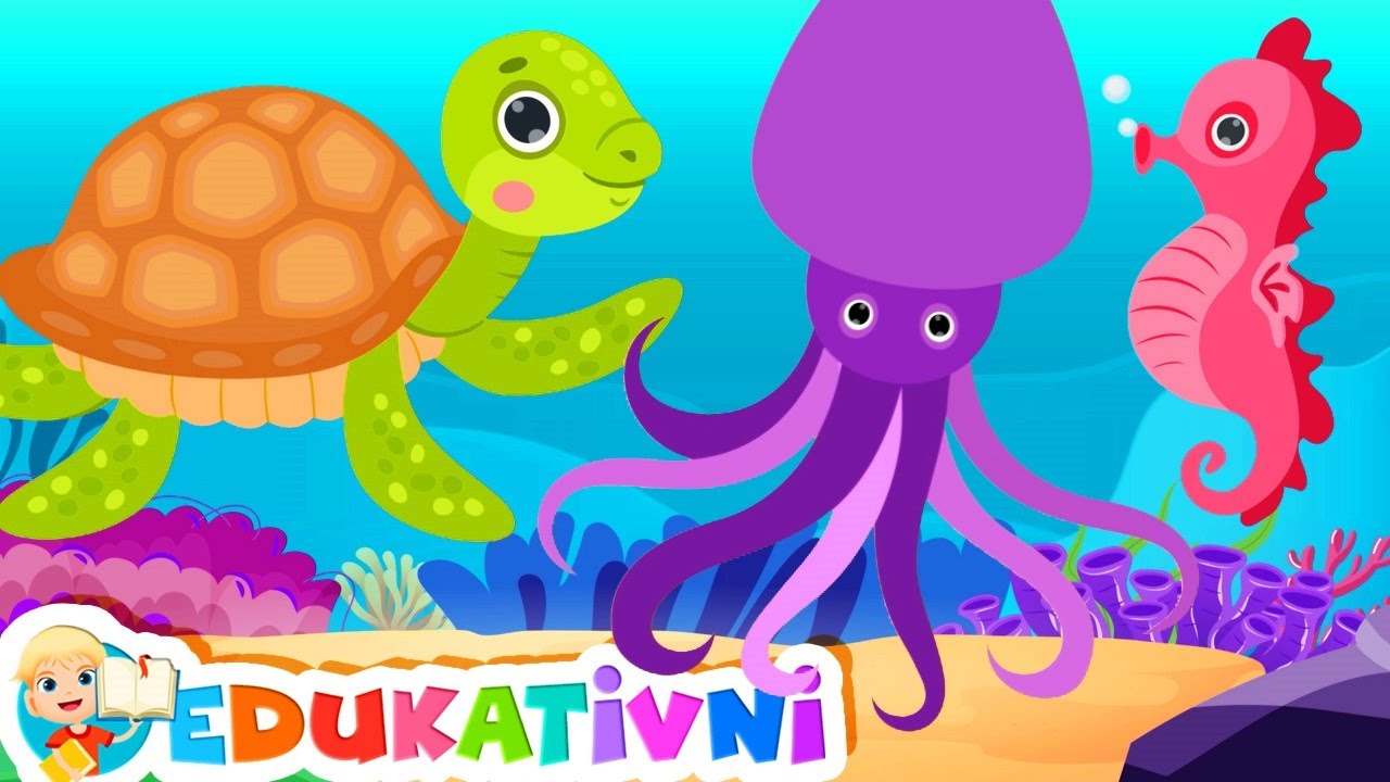 Morske Životinje - Edukativni Crtić Za Djecu Na Hrvatskom