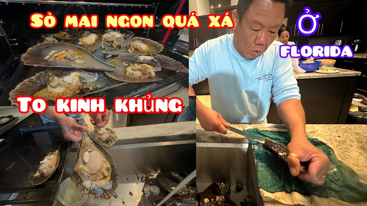 Catch and cook  // dẫn mấy đứa cháu đi bắt ốc  trúng ổ sò  Mai  bị trời mưa  sợ quá  trời