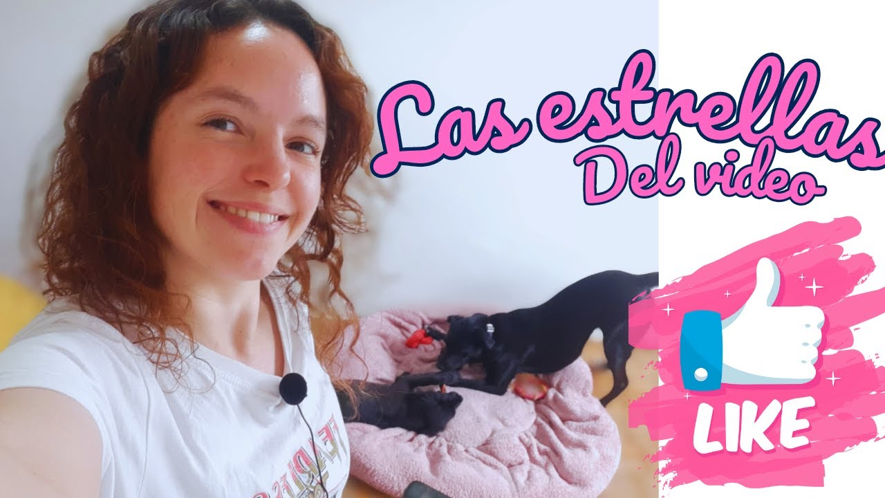 Como hacer una ma&ntilde;ana productiva con 2 perros - Mi desayuno casero  Vlog 9 by Regidesalvo
