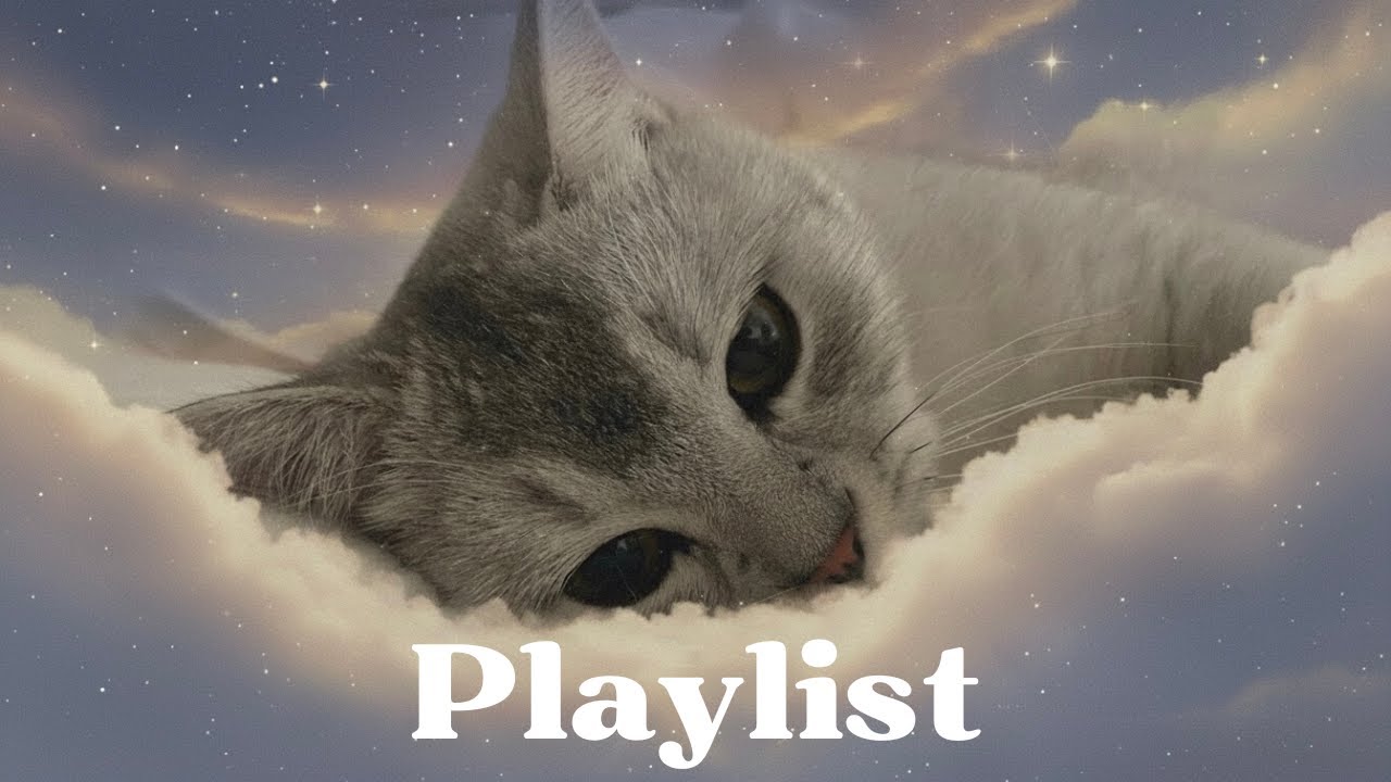 [Playlist]Fairytale Piano at Night | Calm & Cute Piano Music 별이 뜬 밤, 동화 같은 귀여운 피아노 음악