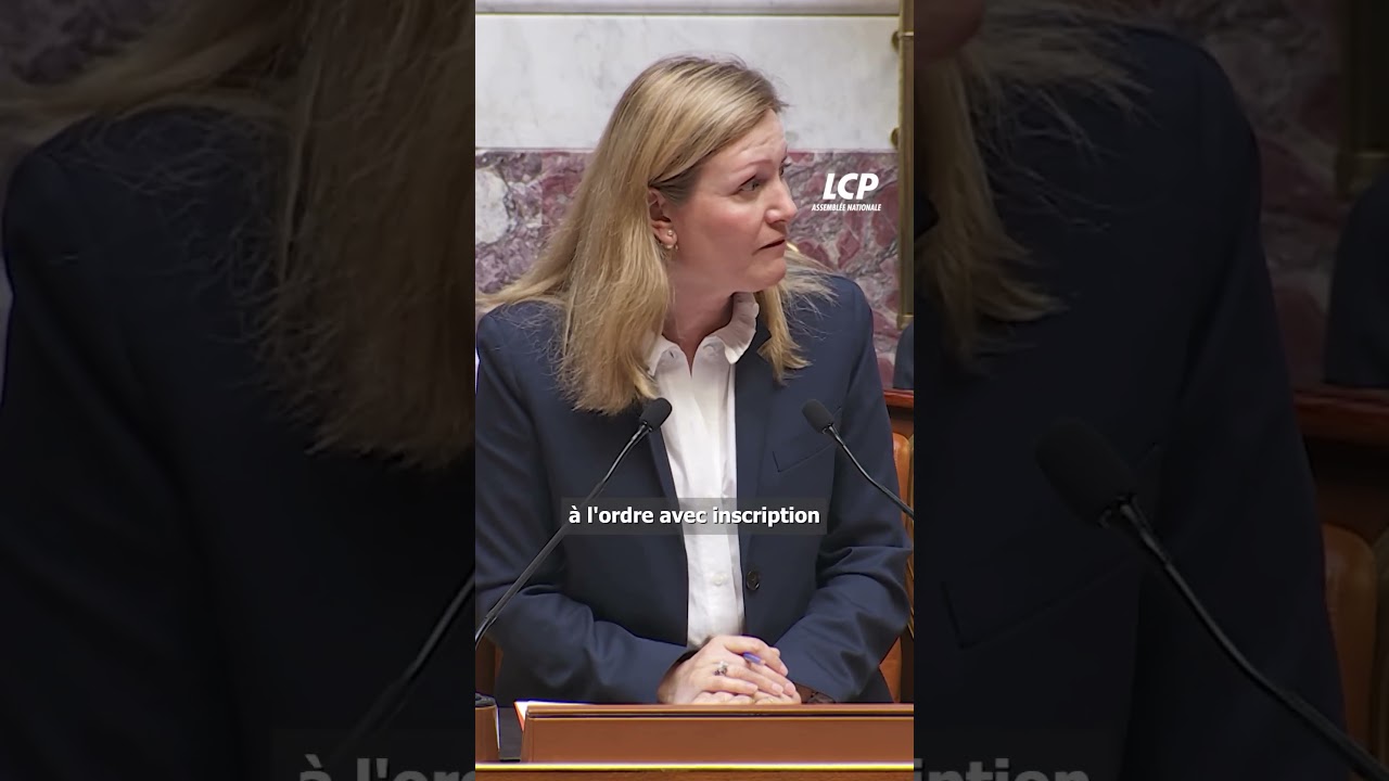 Une députée insoumise brandit à nouveau un drapeau palestinien dans l'hémicycle de l'Assemblée