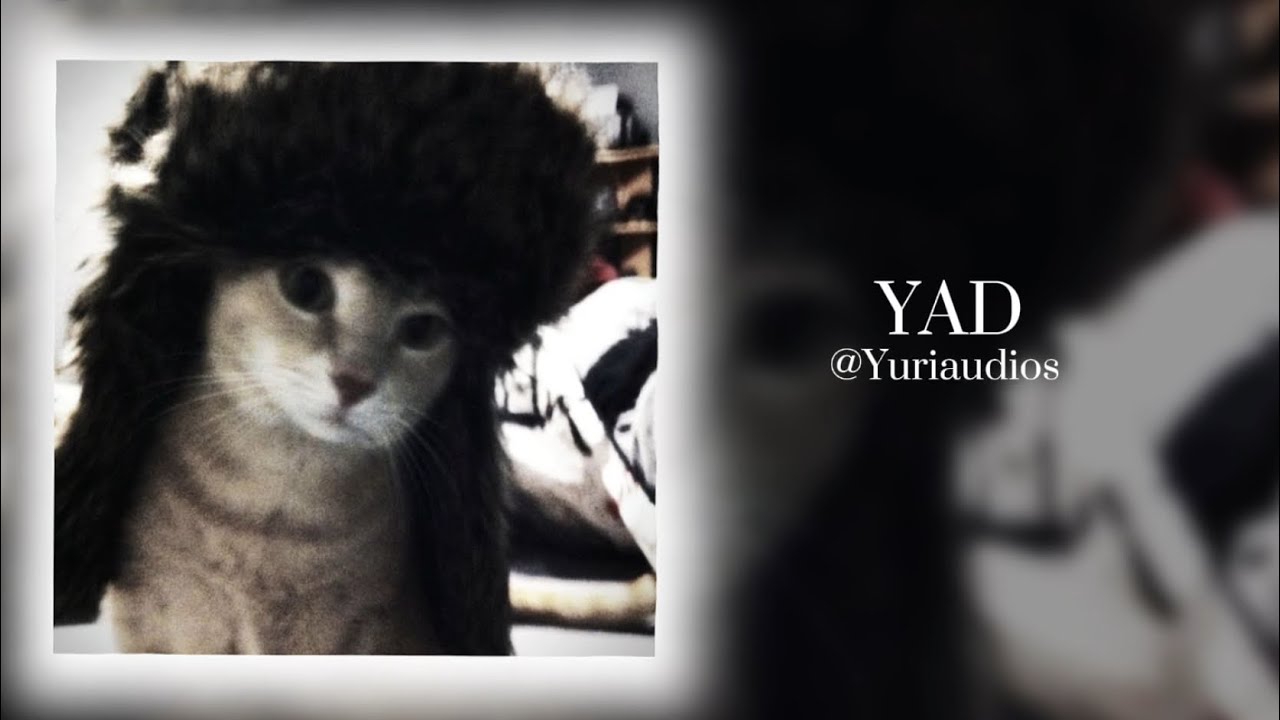 [RUSSIAN EDIT AUDIO THAT I KNOW, CUZ THIS IS MY FIRST TIME DOING THESE]