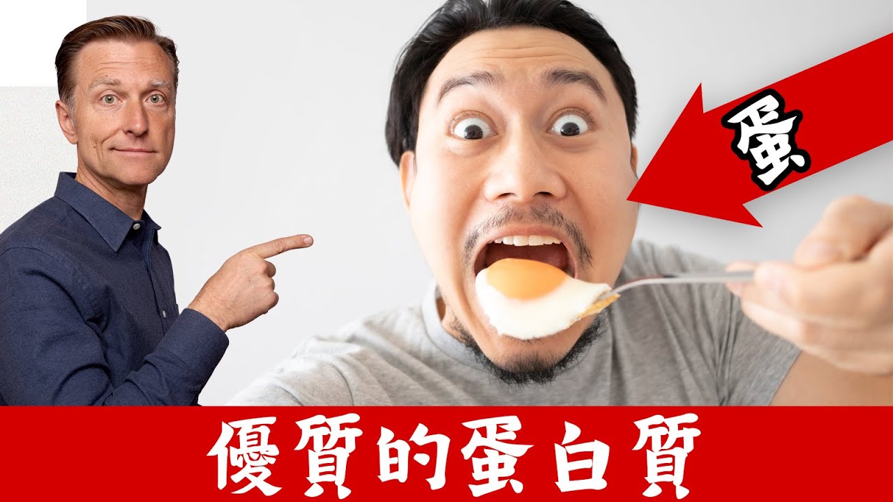 補蛋白質,只吃蛋就夠了？蛋與膽固醇,柏格醫生 Dr Berg