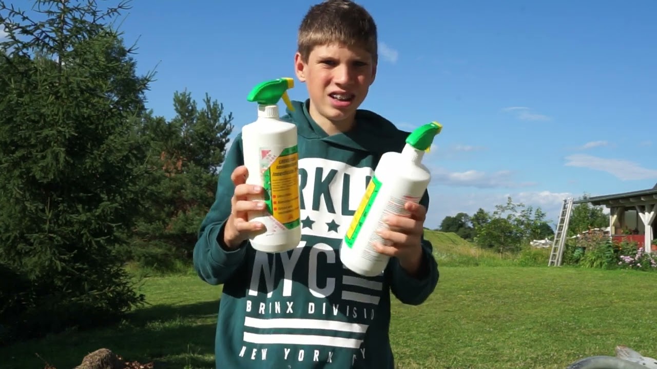 Hühner Milben effektiv behandeln, Hühner gesund halten, Rote Vogelmilbe behandeln, Hühnerläuse...