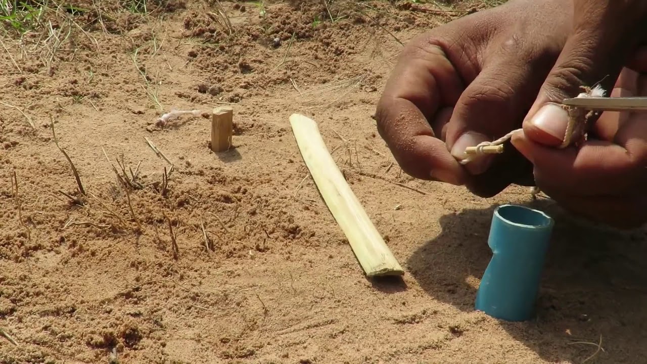 Awesome Monkey lure using a Turkey-DIY Snake Trap Technology - Learning to make Bamboo Bird trap #21