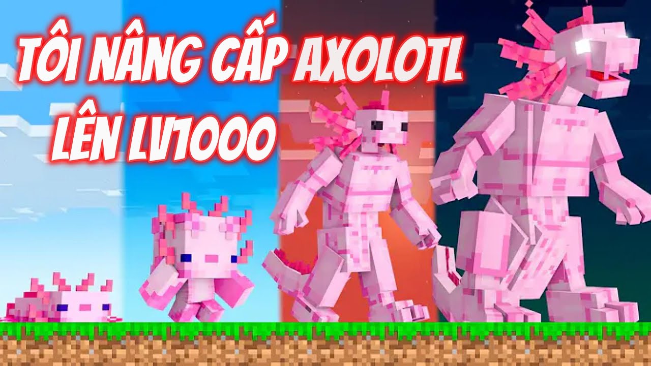 Tôi Nâng Cấp AXOLOTL Lên LV1000 Trong Minecraft