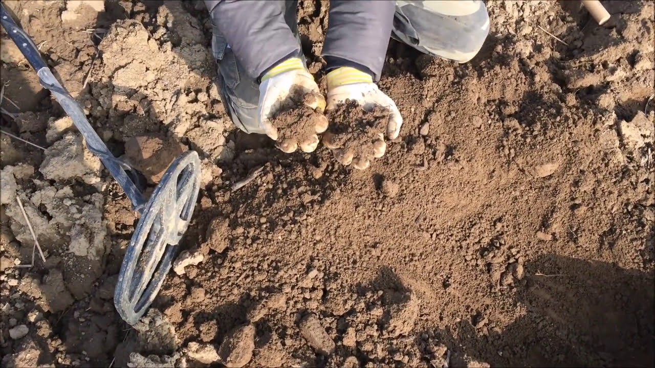 Metal Detector Italia - 15 uscita - NON CI CREDO!!