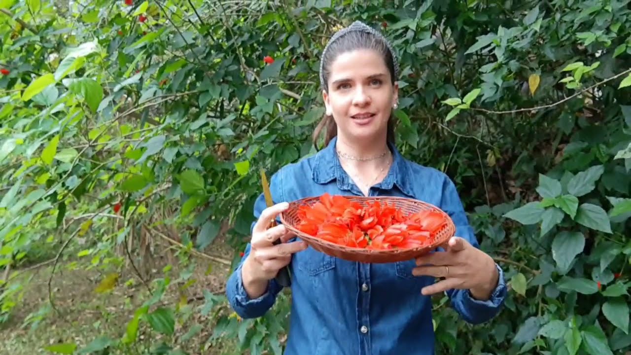 Geléia de Flor - Malvavisco