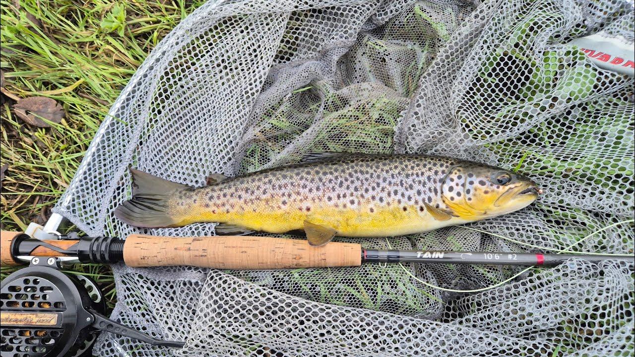 Nymphing in Spring 2026
