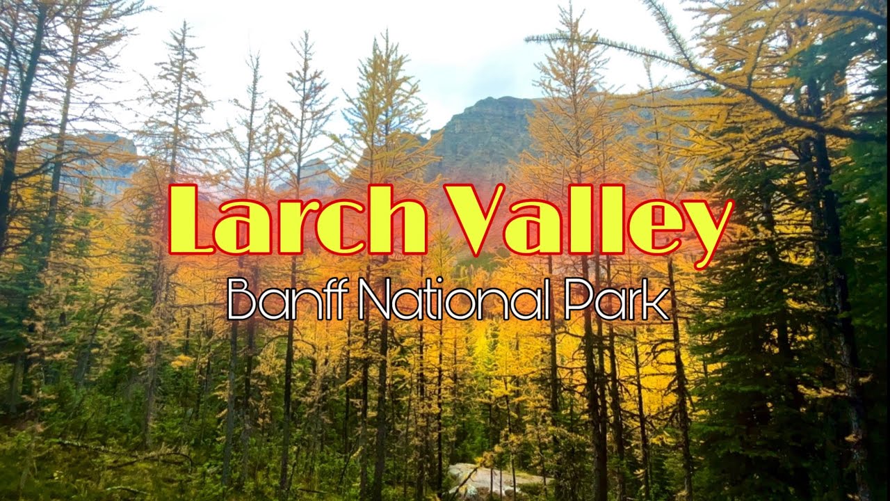 LARCH VALLEY | FIRST DAY OF FALL 2023 | BANFF
