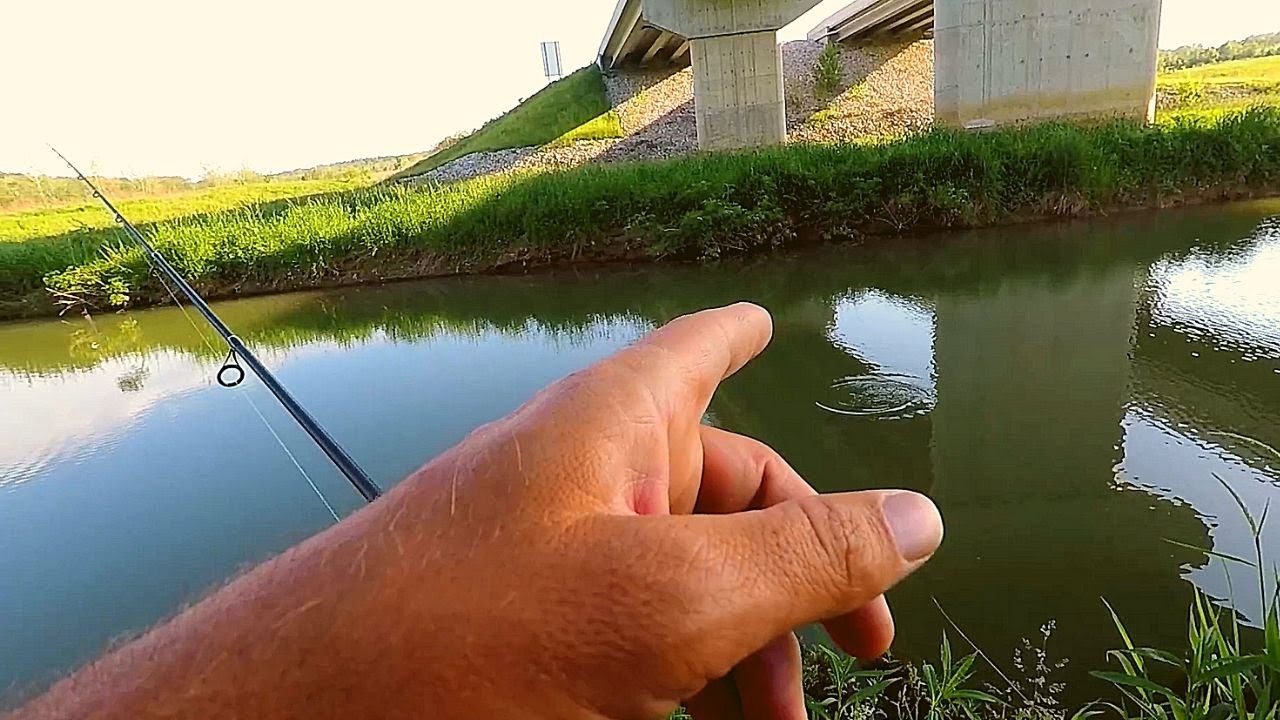 Searching for INDIANA Smallmouth Bass  (No Boat Required)