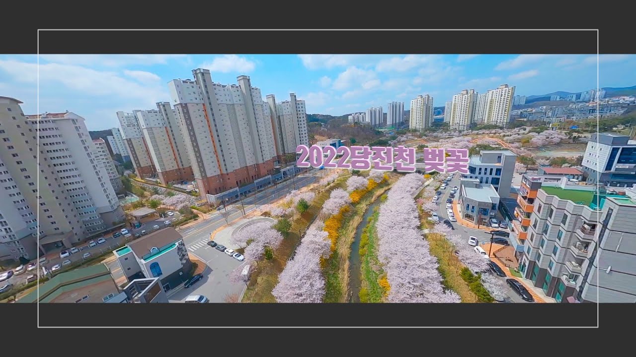 2022당진천 벚꽃#CINEMATIC FPV#국수봉
